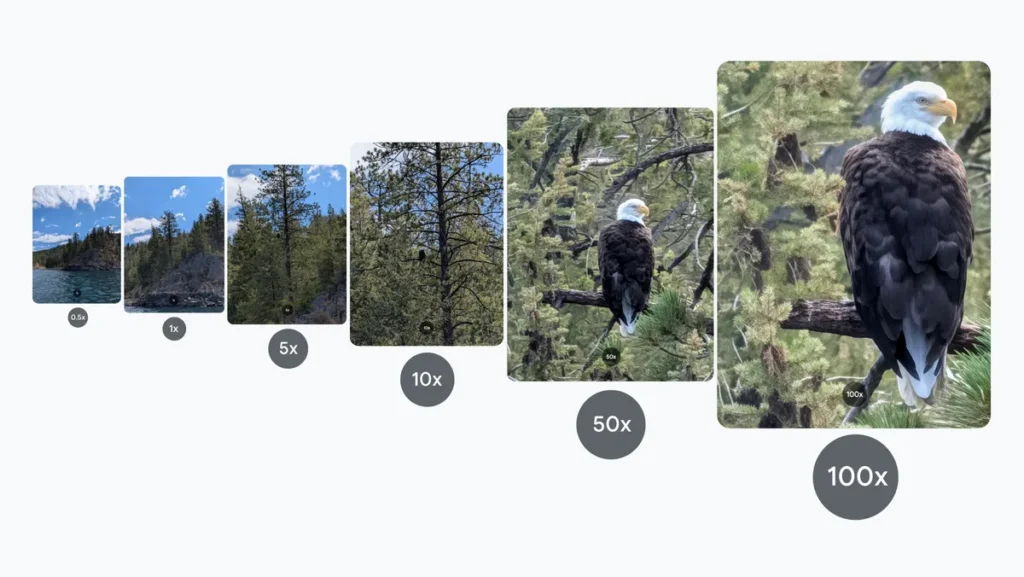 Pixel 10 Pro vs Honor Magic 8 Pro